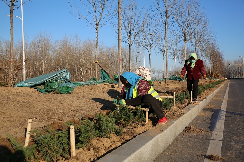 南外环路绿化景观提升改造工程施工现场疫情防控,园林绿化工程开工