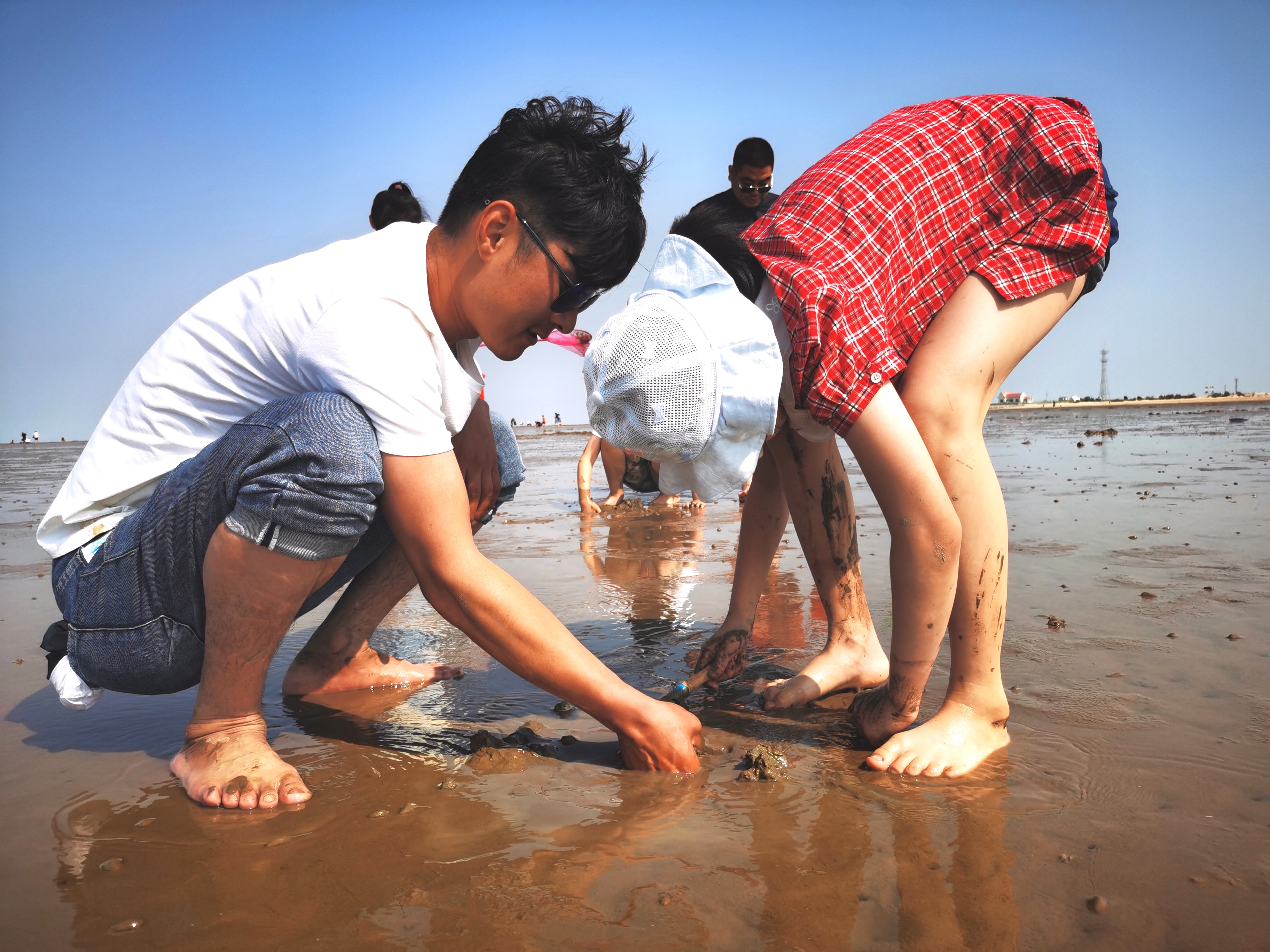 赶海拾贝踏浪奔跑无棣贝壳堤岛景区迎来八方游客