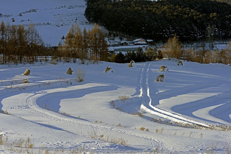 C:akepath.1温暖的阳光洒在广袤的雪原上，景物阴阳冷暖相间，色调质感丰富，一幅幅立体的雪村图展现在我们的眼前……。.jpg