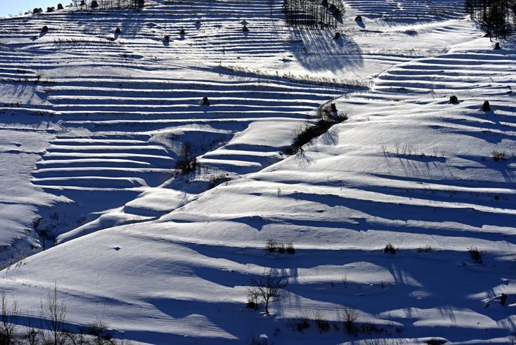 C:akepath9.4山坡上的梯田，虽然被大雪覆盖，但从优美的线条上还是能清晰的看清，为冬季的大山增添了许多美感。.jpg