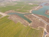 高新區高標準規劃建設龍江濕地 為濱州“潤肺”