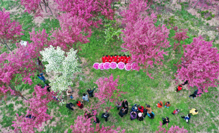 首届“春之美·海棠情”同济园林杯摄影大赛在正式启动