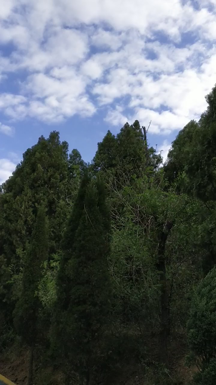 经过一夜风雨的洗礼,邹平市黄山风景区变得更美了.