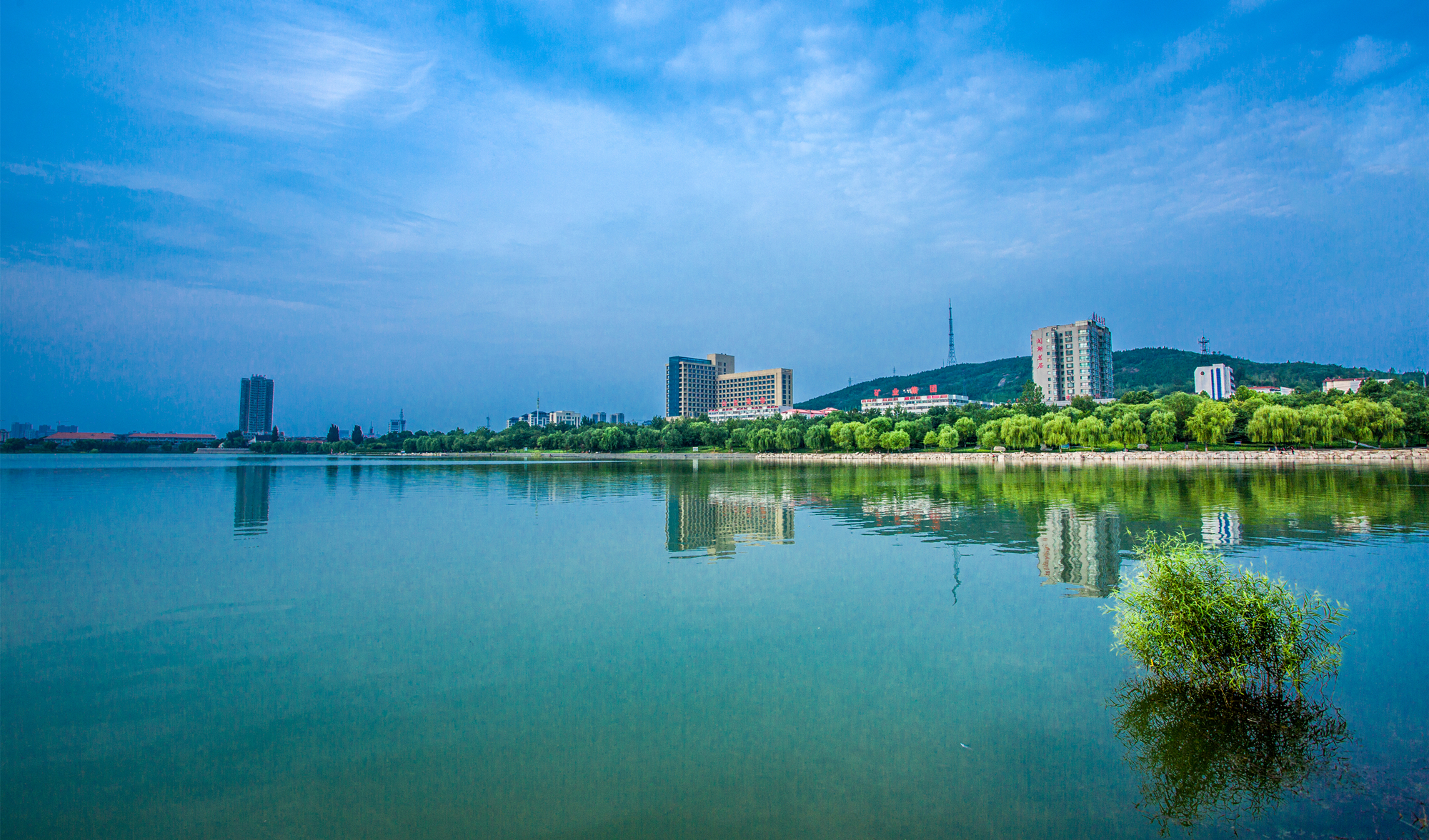 15963070305_滨州网