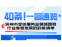 40条！一图速览|滨州市促进服务业领域困难行业恢复发展的政策清单