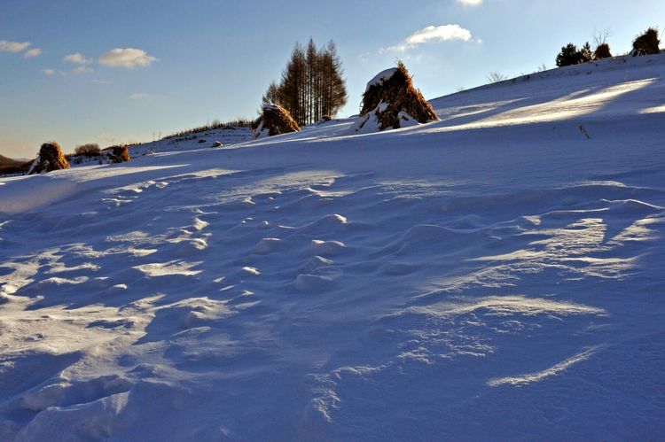 C:akepath.2温暖的阳光洒在广袤的雪原上，景物阴阳冷暖相间，色调质感丰富，一幅幅立体的雪村图展现在我们的眼前……。.jpg