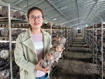 滨州最美科技工作者吴元元：创建“食用菌周年生产模式”，带领菇农四季发财