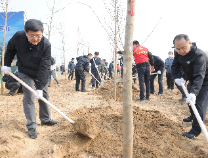 海报发布！滨州黄河淤背区生态修复工程开工