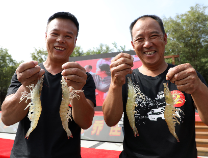 博兴县乔庄镇举办第二届“对虾虾王争霸赛” 